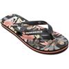 Quiksilver Men Molokai Core Green 1 6.5 UK 40 EU