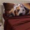 PETTI Artigiani Italiani - Lenzuola Animali con Gatti e Cani in Cotone con Federe in Stampa Digitale, Lenzuola Una Piazza e Mezza Francese, Completo Letto Una Piazza e Mezza Bordeaux, Made in Italy