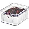 InterDesign iDesign Organizer Cucina con Rastrelliera per Frutta, Box Frigo in Plastica Priva di BPA, Contenitore Verdura e Alimenti, Trasparente, 21.1 cm x 16.1 cm x 9.9 cm