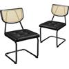 Yaheetech Set 2 Sedie Sala da Pranzo Imbottite Classiche Moderne a Sbalzo Portata 136 kg (Finta Pelle, Nero)