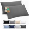 Dreamzie Federa Cuscino 40x70 cm, Set di 2 - Per i Cuscini 40x70cm - Federa da Cuscino - Copri Cuscino per Letto in Microfibra con Cerniera - Oeko-Tex, Antracite