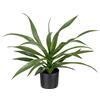 Baroni Home Pianta Artificiale per Interno ed Esterno, Pianta Finta Decorativa per Soggiorno, Camera da Letto, Cucina, Altezza di (Sisal Plant 50 cm)