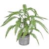 Baroni Home Pianta Artificiale per Interno ed Esterno, Pianta Finta Decorativa per Soggiorno, Camera da Letto, Cucina, Altezza di (Fern Leaves 59 cm)