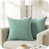 Topfinel Federe Cuscini 2 Pezzi 40x40cm Comodo in Ciniglia per Divano Copricuscini Decorativi Camera da Letto Soggiorno Balcone Esterno Arredo Casa Fodere Cuscino Tinta unita Blu