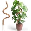 Wigearss Bastone di Muschio, Palo Cocco Piante Sostegno Piante Supporti, Pieghevoli Fibra di Cocco, Tutore Muschiato per Monstera Rampicanti, 150cm