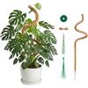 Tolesum Tutor per Piante in Fibra di Cocco 120cm, Bastone per Monstera Pieghevole e Flessibile, Supporto per Piante da Interno Rampicanti con Kit di Accessori e Materiale di Legatura Incluso