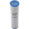 Darlly Filtro a cartuccia per minipiscina Coast PCST80 / 817-0098 / C-5396 / 51001 / SC791