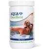 Aqua Excellent Detergente per filtri per minipiscina e vasche idromassaggio (500 g) 123916