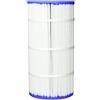 Pentair Filtro a cartuccia per piscina Clean & Clear Plus 240 / H-RAF173572
