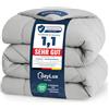 CozyLux Piumino Letto Singolo 135x200 cm Grigio chiaro per 4 Stagioni | Piumone Letto in Microfibra 300 g/m², Oeko-Tex 100, Trapunta Invernale con quattro occhielli, Lavabile in Lavatrice