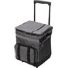banapoy Borsa Frigo Pieghevole da 43 Litri con Manico Telescopico e Ruote | Capacità Portatile 43 Litri, Struttura Pieghevole in PVC e Plastica, Ideale per il Campeggio, la Spiaggia e L'uso All'aperto