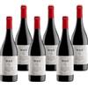 MASI "FRESCARIPA" 2025 | Bardolino Classico DOC | 6x750 ml | 6 bottiglie