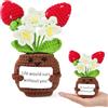 Vicloon Mini Positive Doll, Positive Doll Peluche, Piante in Vaso Positive all'Uncinetto, Mini Fragola Divertenti con Carta Positiva, per Festa di Compleanno Regalo, Familiari Amici Regali