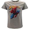 SPIDER-MAN T-Shirt Spiderman Originale Spider-Man Uomo Ragno Grigia Marvel Ufficiale Maglia Maglietta (S Adulto)