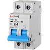 IXTRIMA Interruttore Magnetotermico Automatico, 2P 10A 220V 6kA, Bipolare MCB 2P C10