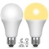 Akynite Lampadine LED Crepuscolare da Esterno 12W Luce Calda 3000K, 1200LM, Auto On/Off, Equivalent E27 100W, AC 230V, Lampadina Crepuscolare E27 Globo con Sensore per Plafoniere da Portico, set di 2