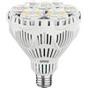 SANSI Lampada LED a Spettro Completo per Piante da Interno, 40W E27 Lampadina da Coltivazione con Elevato PPF 63 μmol/s, 4000K Lampada per la Crescita per Fioritura e Fruttificazione, Ø11,6 * 13,8 cm