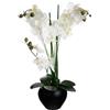 ATMOSPHERA CREATEUR D'INTERIEUR - Orchidea artificiale vaso in ceramica nera H53cm