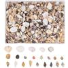 Generico Mini Conchiglie E Stelle Marine Miste, 1000 Pezzi Piccolos Set Misto di Stelle Marine E Conchiglie, 20 Tipi Diversi di Conchiglies, Materiale Naturale Fai da Te per Matrimonio, Acquario