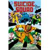 DC Comics Suicide Squad by John Ostrander Omnibus Vol. 2