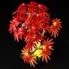 GEAMENT Set di Luci LED Compatibile Con LEGO Bonsai di acero rosso giapponese Botanical Collection 10348 (Modello di mattoncini non incluso)