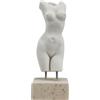 Sconosciuto Donna Corpo Femminile Torso Erotico Nudo Arte Sexy Greco Statua Scultura 9 23 cm