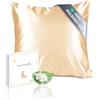 townssilk Federa seta cuscino,100% naturale seta di gelso 19momme,doppia faccia,benefica per capelli e pelle,ipoallergenica,cerniera nascosta,1 pz,40x40cm,Oro champagne
