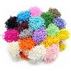 LKXHarleya 1000pcs / Lot Mini Teste Artificiali Doppie del Fiore della Perla del Pistillo di Stamen della Decorazione del Mestiere della Casa