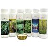 well2wellness SAUNA infuso Starter Set 'CLASSIC' con 6 x 125ml fl. PLUS GRATIS 10 G10 G CRISTALLI AL MENTOLO