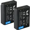 SK Games SK batteria Canon LP-E10 1020 mAh + Caricatore Charger