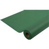 Pronappe Pro Nappe - Cod.R781007I - Tovaglia monouso in tessuto non tessuto Spunbond - Rotolo 1,20 x 10 Mt - Materiale antistrappo, idrorepellente e facile da pulire - Colore verde abete