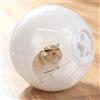 Generic Palla per esercizi per criceti, ruota da corsa trasparente per gerbilli topi, giocattolo durevole per piccoli animali domestici con fori traspiranti, accessorio per giochi al chiuso