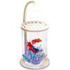 Generico Acquario Da Tavolo | Decorazione Trasparente Con Luce | Acquario Con Alimentazione - Per Gamberetti Angolo Stanza Paesaggistica Tavolino