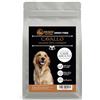 DRAGO PETFOOD Crocchette Cane Adulto - Cavallo e Patate Dolci con Melograno - Grain Free, Ipoallergenico, Mono-proteico, 45% Cavallo - Sacco 2kg