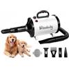 Blanlody Soffiatore per Cani Blower Molto Silenzioso, 4,5 CV/3200 W, velocità Regolabile, Ventilatore per la Cura del Cane con 4 Diversi Ugelli, Tubo Elastico e Spazzola per la Cura