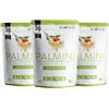 PALMINI Linguine PALMINI - Cuori di Palma - Poche Calorie - Pochi Carboidrati - Keto - Vegan | Non OGM - Senza Glutine - Senza Zucchero - Kosher - 338g | (Confezione da 3)