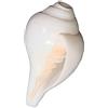 BishtHub Loud Blowing - Albero di conchiglia originale, grande, colore: bianco, naturale, ideale per rituali Pooja, oggetti religiosi, 12,7 cm