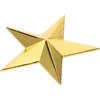 OFFSCH Medaglia Stella Magnetica Fai da Te in Lega di Zinco Oro | Decorativa, per Premio Giochi di Festa e Souvenir, Lavorazione Curata, Aspetto Realistico
