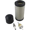 DWOGCEBX Kit di Messa a Punto Compatibile con i Modelli di Motore a 4 Tempi EZGO RXV e Txt 2008-2010 - Include Parti 28463-G01 e 72084-G01