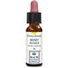 ERBA VITA GROUP SpA Honeysuckle Essenza Floreale Erba Vita 10ml