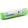 BOIRON Srl Rhus Toxicodendron 5CH Boiron Globuli 1g