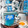 SMASHI BURGER SMASHI® - Kit Smash Burger ergonomico in acciaio inox 304, con manico in silicone, spatola per smash, coperchio, pressa per hamburger, set professionale per cucina (professionale)