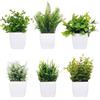 ZHENGYYUU 6 Pz Piante Finte da Interno, Piantine Finte Decorative con Vasetto, Piccole Piante Artificiali in Vaso per decorazioni bagno cucina tavola casa