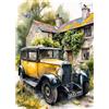 CEOVR Paesaggio Diamond Painting Kit Auto DIY Pittura Diamante Kits 30x40cm Gatto Mosaico Diamanti Painting per Decorazioni Fiore