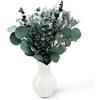 CAwished Fiori secchi Decorativi rami di eucalipto freschi e verdi conservati steli di piante vere con 3 tipi per composizioni floreali, decorazioni per matrimoni, decorazioni per la casa