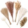ZJTAPE Erba Di Pampa Essiccata - 130 Pezzi Decorazione Naturale Di Fiori Essiccati, Coda Di Gatto, Canna, Coda Di Lepre Per Tavola Da Matrimonio, Vasi, Soggiorno Boho Home Decor, Tip A130