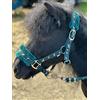 Equipride Collari in Nylon Foderati con Stampa di Cavalli con Corda Coordinata Verde (Mini Shetland)