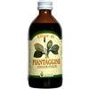 Arcangea srl PIANTAGGINE SCIR 200ML ARCANGEA