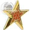Sanico srl WNX503 ORECCHINI WINX STELLA