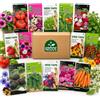 Nojaus Sėklos Nojus - Mix di semi da giardino Value - 40 varietà - 40 confezioni - Semi assortiti di fiori, erbe aromatiche e ortaggi - Semi da giardino - Scatola di semi